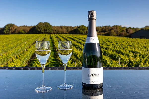 HENKELL FREIXENET ÜBERNIMMT BOLNEY WINE ESTATE