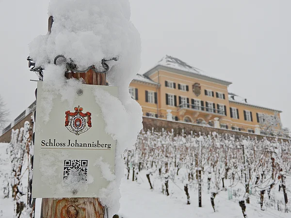 EXKLUSIVES 3-GÄNGE-MENÜ MIT FÜRST VON METTERNICH SEKT IN DER SCHLOSSSCHÄNKE AUF SCHLOSS JOHANNISBERG