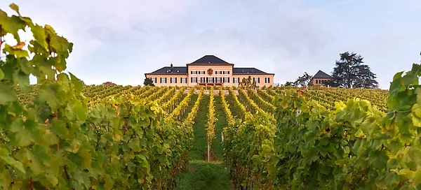 Rheingau Musik Festival 2023: Sommergenüsse von klassisch bis modern
