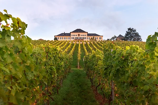 Rieslings since 1720