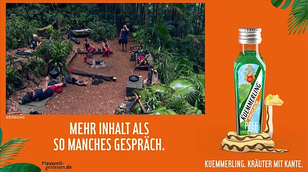 Die Dschungelprüfung geht weiter